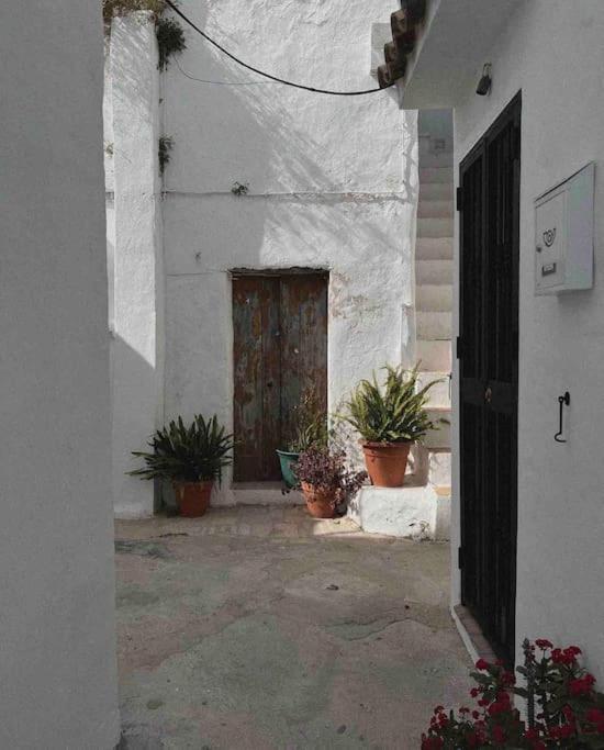 La Torre Eco-Suite Vejer de la Frontera Kültér fotó